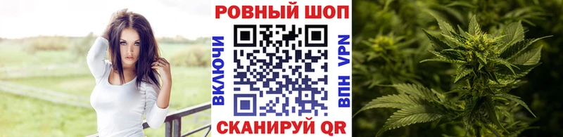 Конопля Новоалександровск