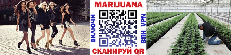 Где продают наркотики Новоалександровск АМФЕТАМИН Бошки Шишки Псилоцибиновые грибы ГАШ Мефедрон