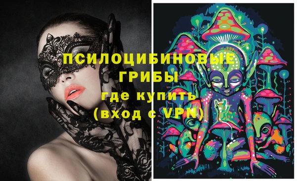 молекула духа Алексин