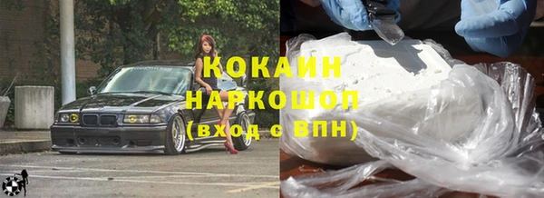 молекула духа Алексин