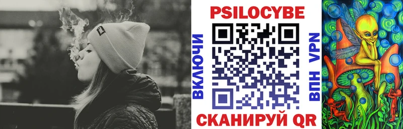 Псилоцибиновые грибы Cubensis  hydra маркетплейс  Новоалександровск 